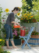 Summer flowers balcony with yellow-red seeding box