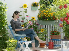 Summer flower balcony with yellow-red seed tray