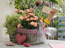 Gift basket with Dianthus caryophyllus (carnations), oregano