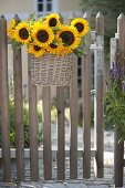 Sunflowers as a welcome at the garden gate