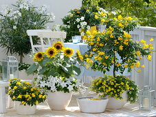 White-yellow summer balcony