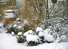 Staudenbeet im Winter im 3. Jahr