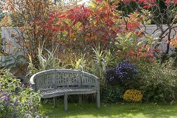 Semi-circular bench in front of an autumn bed with Arundo donax 'Versicolor'