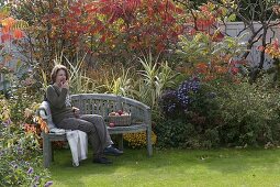 Semi-circular bench in front of autumn bed with Arundo donax 'Versicolor'