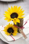 Table decoration with sunflowers and sacaline