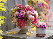 Gemischter Herbststrauß : Dahlia (Dahlien), Aster (Herbstastern), Sedum