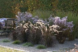 Pebble bed with grasses and perennials