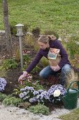 Planting a perennial bed with grasses and tulip bulbs (4/6)