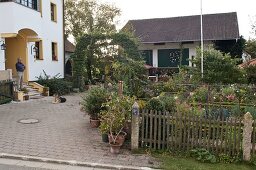 Artist's garden: paved courtyard driveway leads through archway made of Carpinus