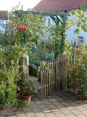 Artist's garden: Climbing roses at the entrance to the cottage garden