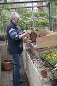 Artist's garden: Greenhouse