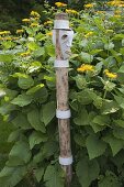 Artist's garden: Garden art