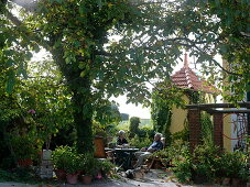 Künstlergarten : Terrasse unterm Walnußbaum