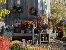 Herbstgestaltung am Gartenhaus