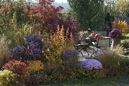 Herbstbeet mit Gehölzen in Herbstfärbung und Stauden