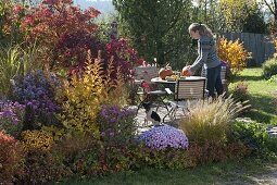 Herbstbeet mit Gehölzen in Herbstfärbung und Stauden