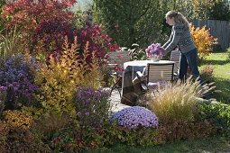 Herbstbeet mit Gehölzen in Herbstfärbung und Stauden