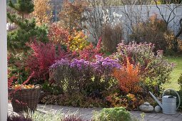 Autumn border with shrubs and perennials