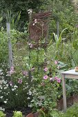 Farm garden through the year, from planting to harvesting