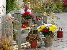 Herbstterrasse mit Holzbank