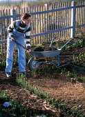 Spread compost in the cottage garden in autumn
