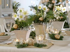 Weihnachtliche Christrosen-Tischdeko