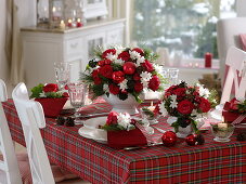 Fragrant red and white Christmas table decoration: Rosa (roses), Narcissus 'Ziva'
