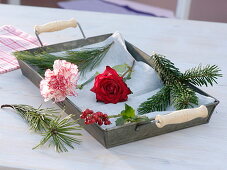 Ingredient style: Dianthus 'Arthur' (carnation), Rosa (rose), Ilex (holly)