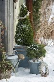 Gartenhäuschen im Winter
