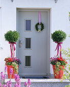 Buxus (boxwood stems) in red tubs in front of the front door