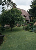 Thatched house with Malus (apple tree) as house tree