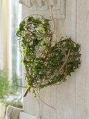 Heart of Salix (willow) with branches of Vaccinium