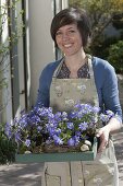 Frau mit Anemone blanda (Strahlenanemone) auf Holz-Tablett