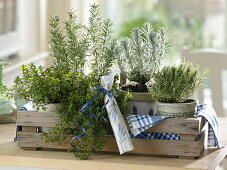 Wooden basket with herbs of Provence in pots