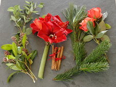 Zutatenstil für roten Weihnachtsstrauß: Hippeastrum 'Red Lion' (Amaryllis)