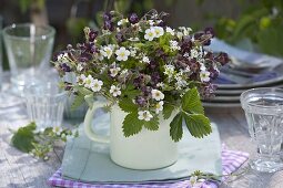 Strauß in emailliertem Milchtopf: Erdbeeren (Fragaria vesca), Waldmeister