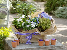 Basket with herbs and edible flowers as a gift
