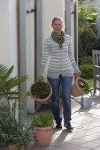 Woman brings Agapanthus (African Jewel Lilies) to the terrace