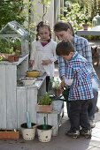 Sowing with children on the terrace