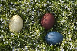 Dyeing Easter eggs naturally