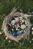 Easter eggs natural colouring