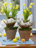 Ostrich eggs in wicker baskets, placed in clay pots
