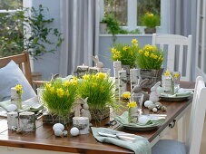 Table decoration with wheatgrass, daffodil and birch