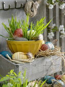 Color Easter eggs naturally