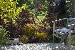 Red-yellow bed with Berberis thunbergii 'Atropurpurea' (Barberry)