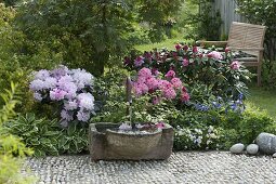 Fountain with stone trough, Rhododendron yakushimanum 'Milano'