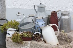 Stone trough planted with old milk jugs and watering cans, pots