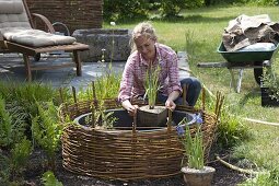 Mini pond with planted willow edging