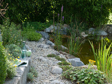 Path made of gravel and natural stones at the pond