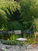 Stuhl im Kies am Teich, Geranium (Storchschnabel), Iris (Sumpfschwertlilie)